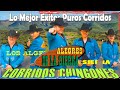 Los Alegres de la Sierra Mix Guitarras del Rancho - Corridos y Rancheras Mix - Lo Mas Nuevos 2024
