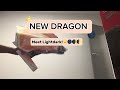 New dragon!