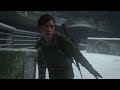 The Last Of Us Part 2- Blizzard