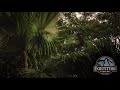 Ecosystems of Jurassic Park (Full Collection)