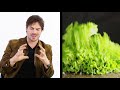 Everything Ian Somerhalder Eats in a Day | Food Diaries: Bite Size | Harper's BAZAAR