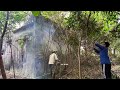 Transform a horrifying abandoned house covered with trees | Clean up, cut grass, saw trees min