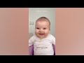 Hilarious Baby Moments You Can't Miss - Try Not to Laugh Challenge