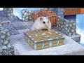 Homura Ham's Hamsters in the Minecraft Dungeons - Obsidian Pinnacle