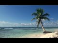 Relaxing 3 Hour Video of A Tropical Beach with Blue Sky White Sand and Palm Tree