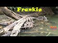 FRANKIE (Mizo Love Story)