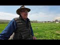 A Deep Dive into Polyface Farm  with Joel Salatin