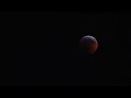 2019 Blood Wolf Total Lunar Eclipse