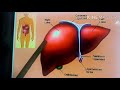 Nutrition  (Digestive System)