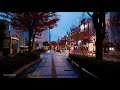Tokyo city AUTUMN COLORS | 4K