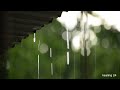 Insomnia solution - the sound of rain helps you sleep well tonight#insomnia  #relaxation #rainsound