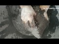 ASMR | Last video! See you all soon! | Satisfying black sand crumbling in water