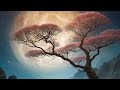 healing music 54 ( #timeless #tree )
