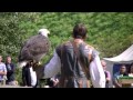 Warwick Castle - Birds of prey display show