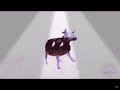 Bri’ish cow (parody of polish cow)