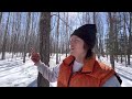 Off Grid Log Cabin Propane Stove Swap, More Snow, And Tapping Trees