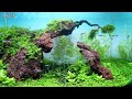 Monte Carlo Aquarium Plant - Planted Aquarium Setup