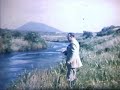 Ireland in the 50's