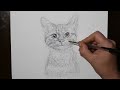 How to Draw a Kitten #2 | AMAZING Pen and Ink Drawing