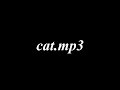 cat.mp3