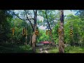 വാൽപ്പാറ കാടിനുള്ളിൽ താമസിക്കാം | Valparai Forest Stay | 4K UHD