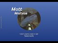 (แปล)Waiting in vain-Matt malteses |thaisub|