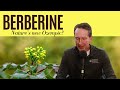 Berberine I The Common Sense MD I Dr. Tom Rogers