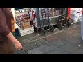 Cat in Istanbul gets food from vendor (2015.5.6)
