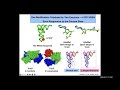 Direct RNA Sequencing and Base Modifications