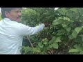 #karyon#organic#८६००९२१०९५#Result Life #viral #viralvideo