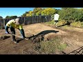 DIY Garden Renovation Goes Horribly Wrong | Massive Yard Makeover