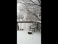 Snow in West Hartford, Connecticut, USA;  February 5, 2016