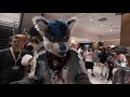 Why Did I Film This? (Anthrocon 2018)