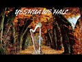 YESHUA WE HAIL / PROPHETIC HARP WARFARE INSTRUMENTAL/ DAVID HARP/ 432Hz BODY HEALING INSTRUMENTAL