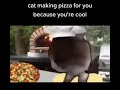 Gato haciendo pizza