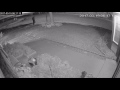 Front yard decoration theif caught on video