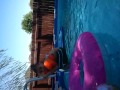 Dienekes & Caige swimming