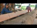 Timber Processing Factory //Processing of beams from Meranti wood