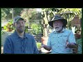Start Your Backyard Orchard with Tom Spellman | The Beet