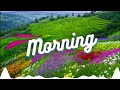 Morning | [Copyright Free] | FLM Project #13