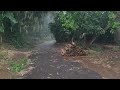 Very heavy rain in the village || Fall asleep instantly with the sound of heavy rain
