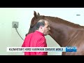 Kazakhstan’s horse Kabirkhan conquers world | Silk way TV