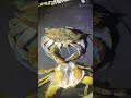 Crab Molts From Its Shell || ViralHog