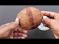 How to  remove COCONUT Flesh From Shell,  2 different ways