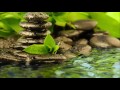 1 Hour | Shakuhachi Music With Water