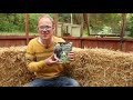 Kickstart a Weed-Free Straw Bale Garden