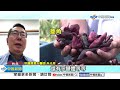 《生活一把罩》 狗困下水道「求救遭拒」!通報動保處遭回：是青蛙