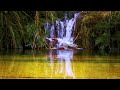 Good Morning Music - FUN New Positive Energy & Stress Relief - Music For Meditation, Yoga Relaxation