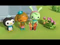 Octonauts: Above & Beyond - Little Brothers and Sisters | Compilation |  @Octonauts​