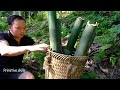 Primitive Skills; Natural Rubber and How It's Made?